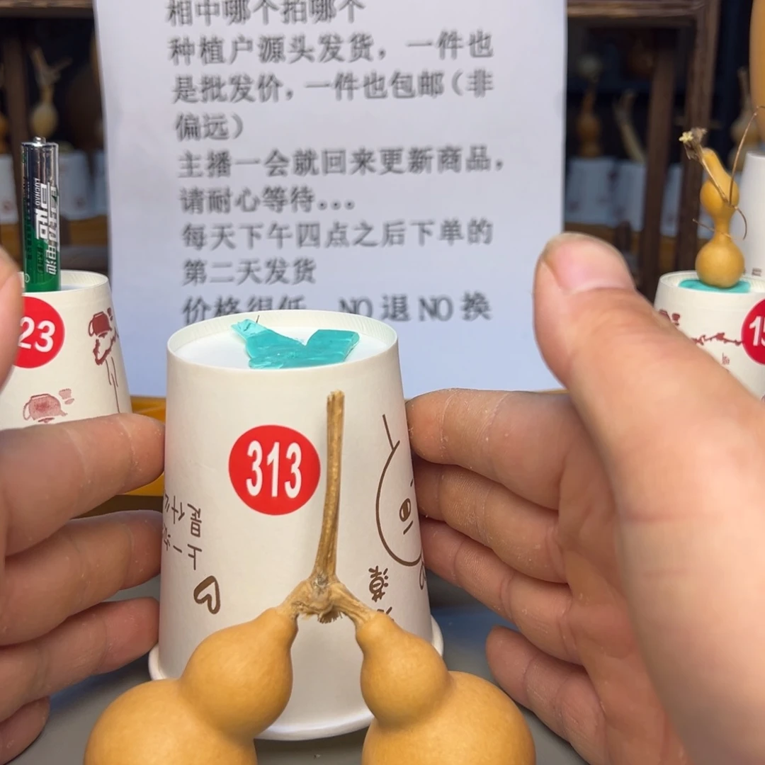 闪电购自助下单编号313