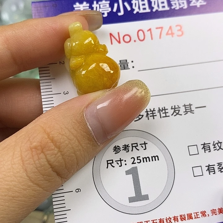 饭***️翡翠未镶嵌颈饰翡翠