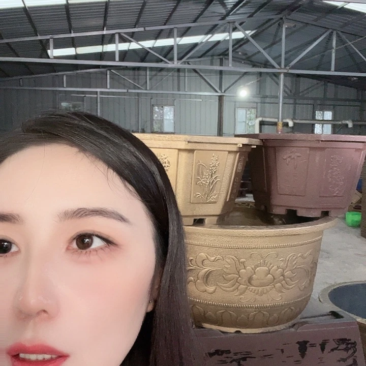 八角60口径花盆二十哥