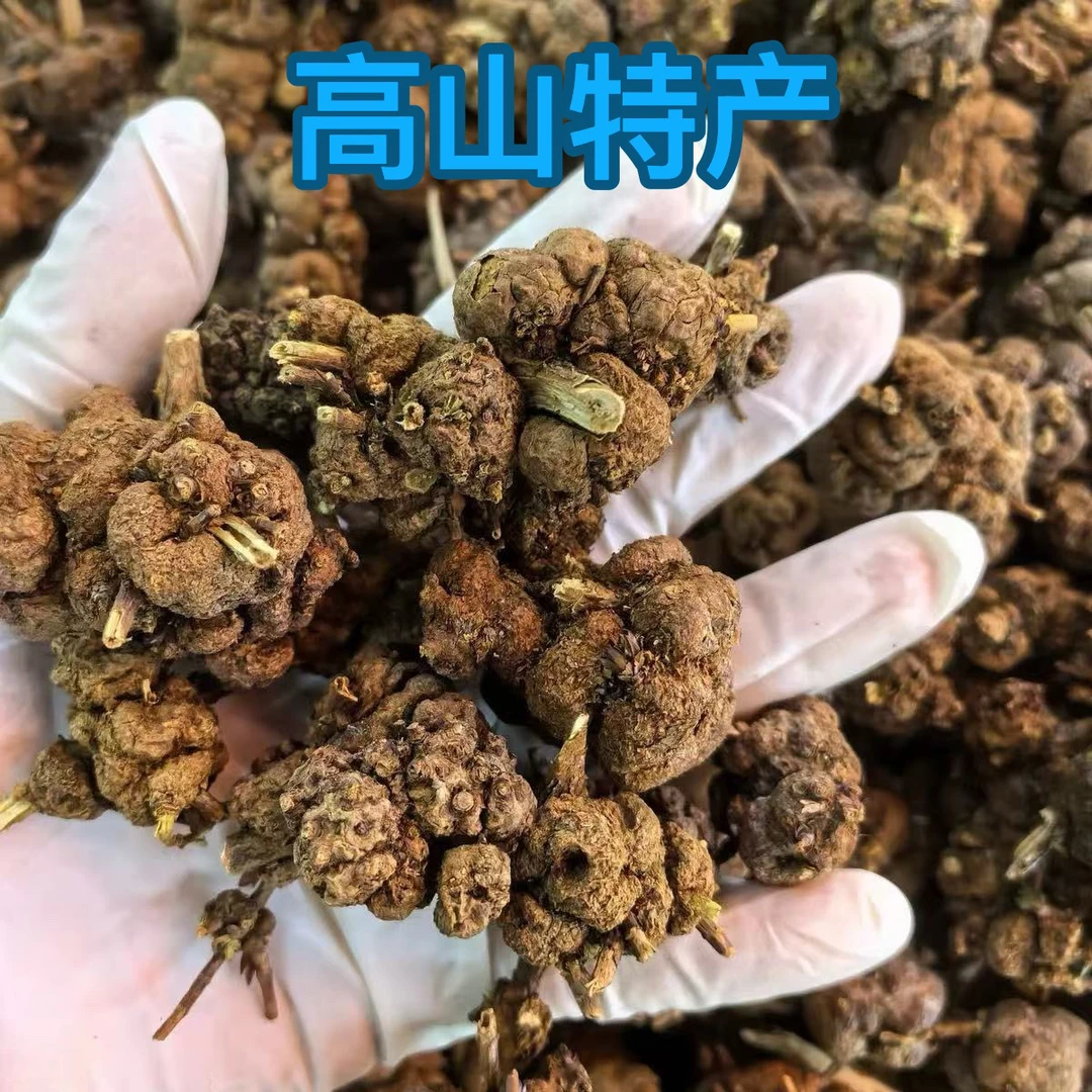 精选高山 消瘤果 500克1斤过路黄包邮