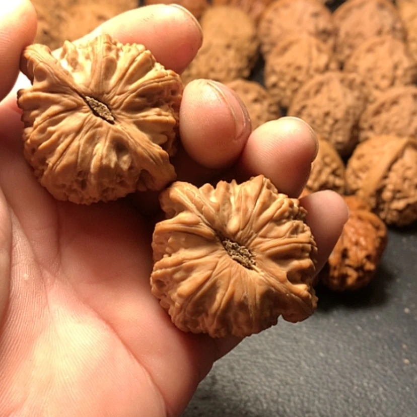 【闪购商品】把件文玩核桃大*哥白狮子