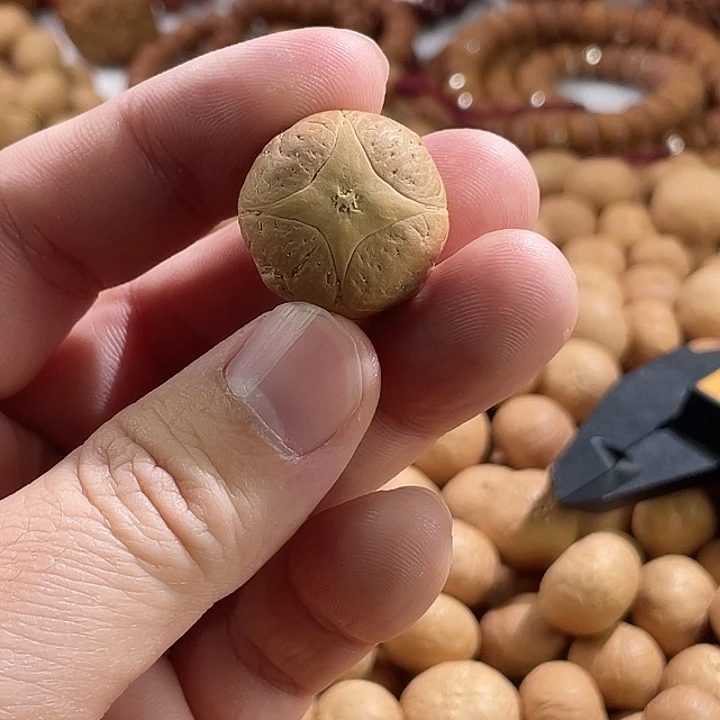 凤眼菩提手串尼泊尔小凤眼