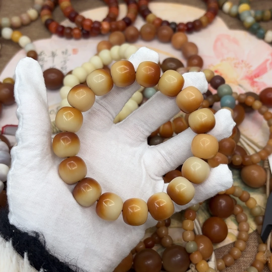 吊坠菩提根/象牙果16干磨瑕疵落地果871