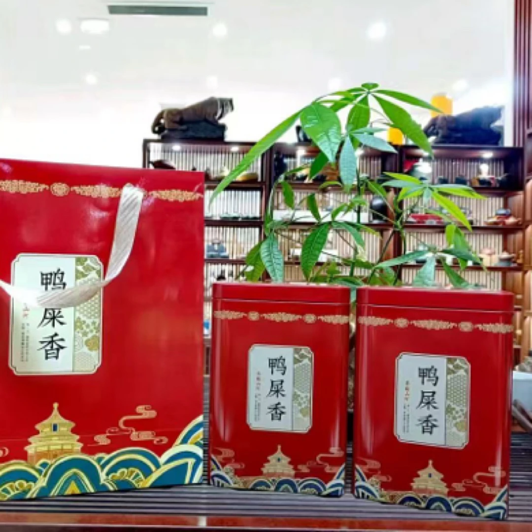 凤凰单枞茶鸭屎香花香乌龙茶茶叶清香口感单丛茶香甜