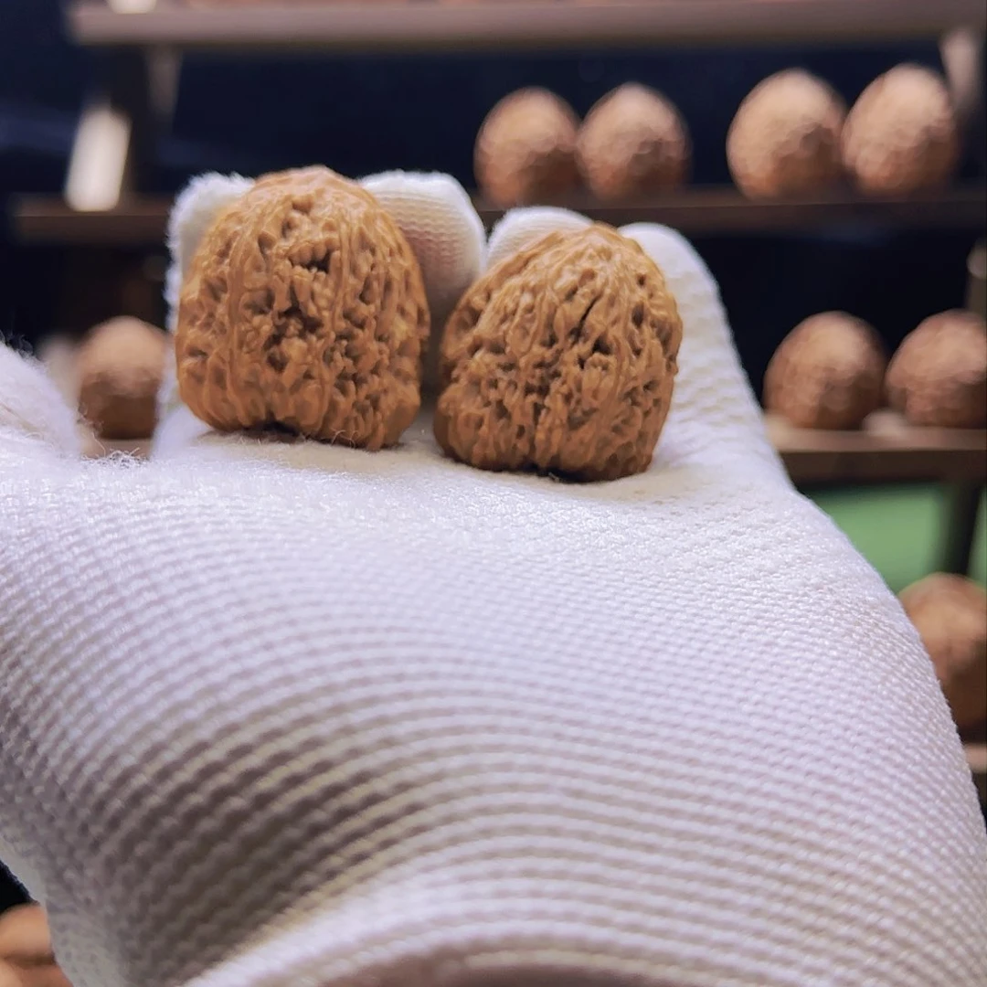 【闪购商品】江*云瘤疤