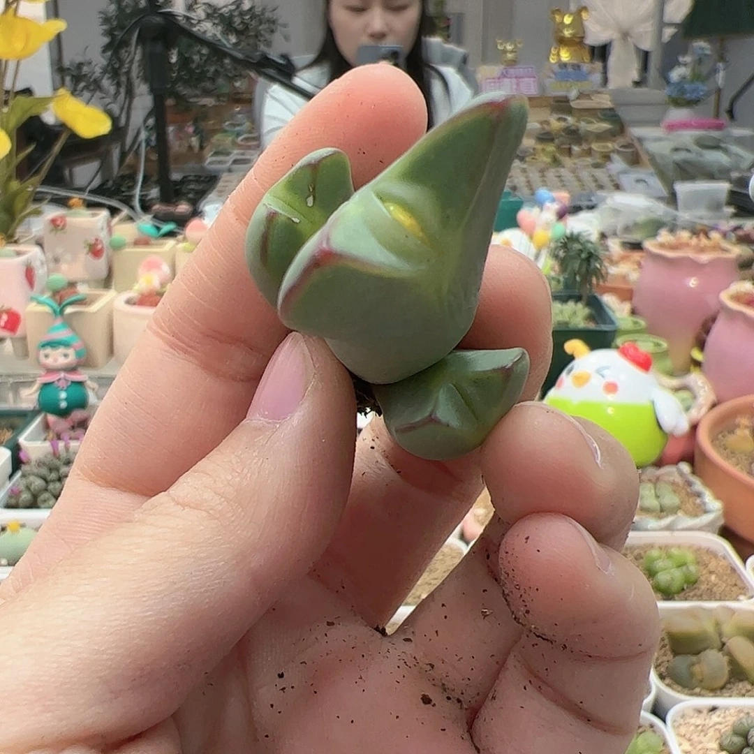【闪购商品】154 秒