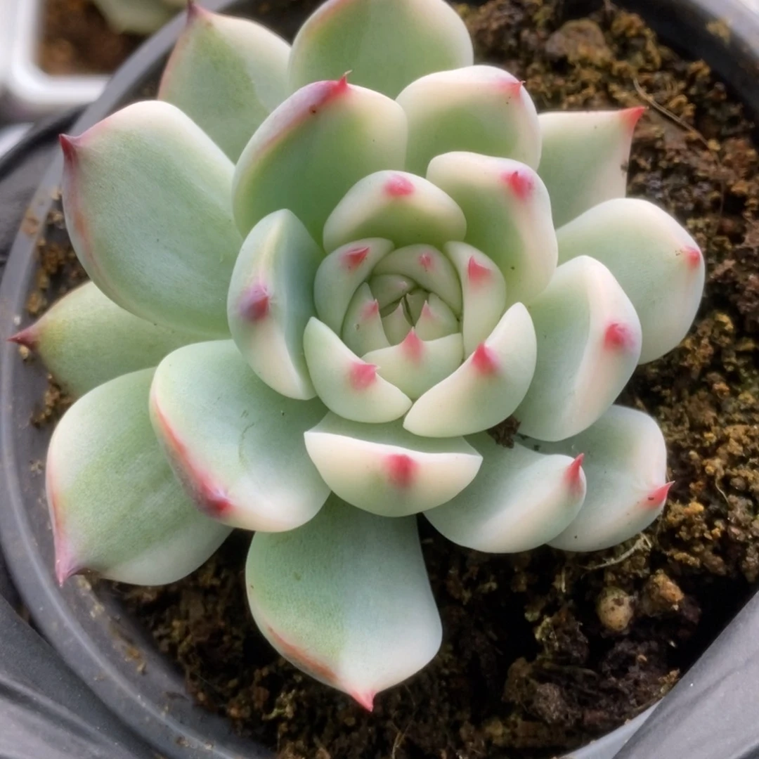 697锦锦锦锦锦锦锦锦