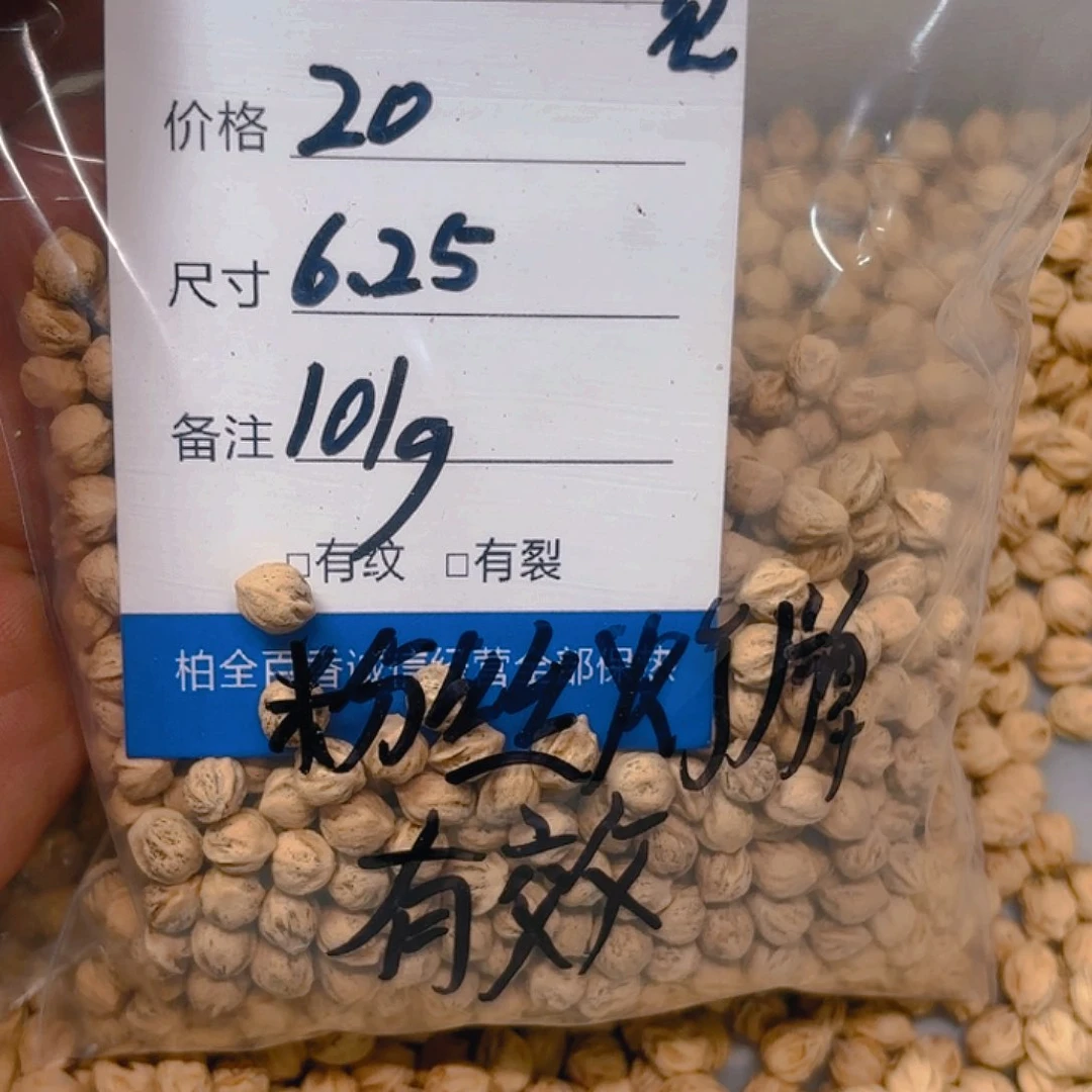 浠*柏香籽散子 101 克散子