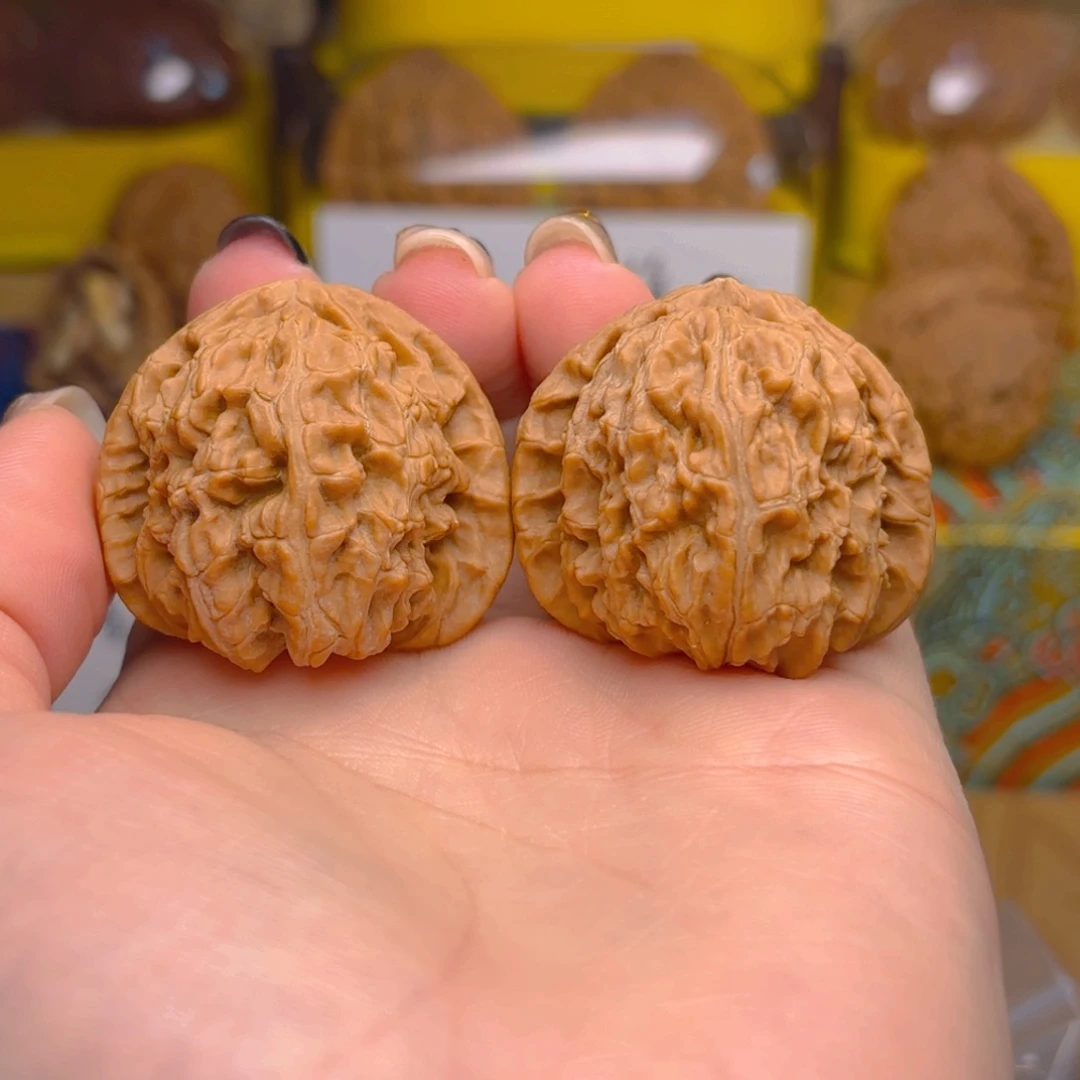 菠***萝白狮子头三十七尺