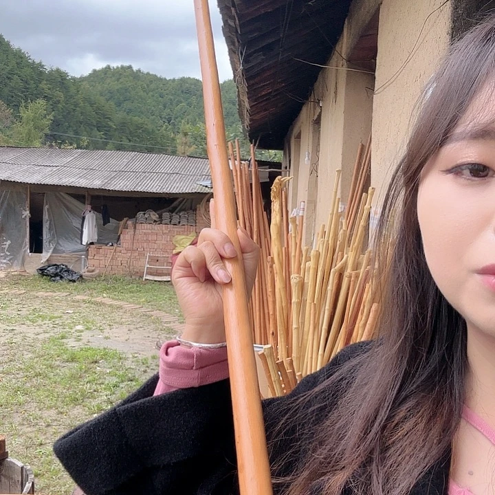 书***舍255555888888888888