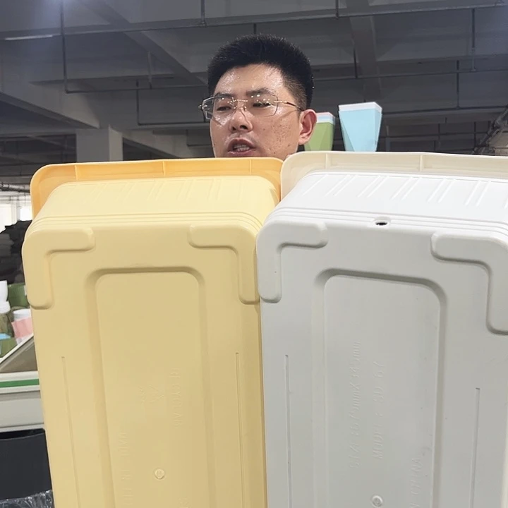 大菜盆长67宽34高18混色2只无托