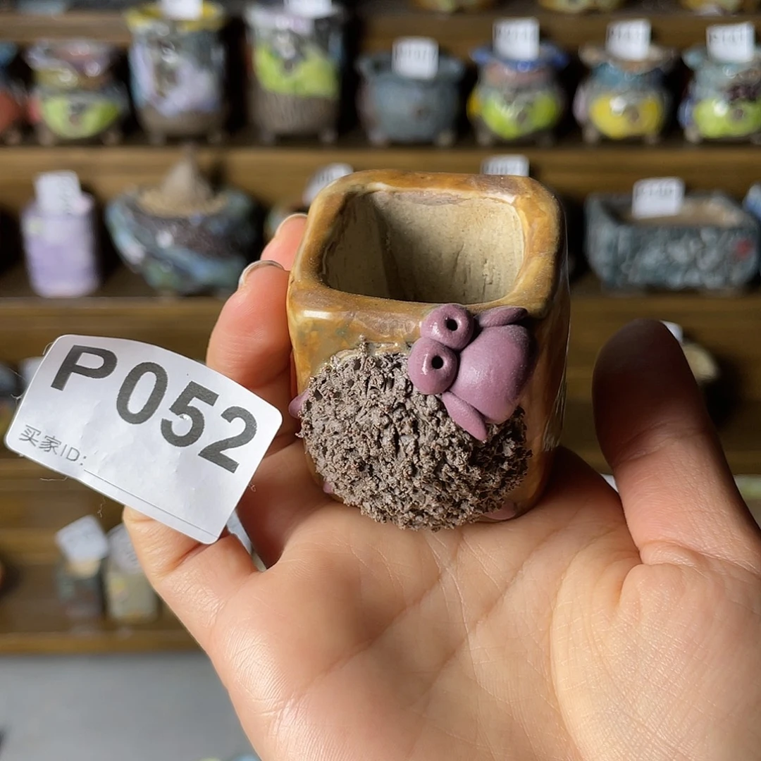 小白孤品 立体小羊 方 内口3.2 左右 百搭