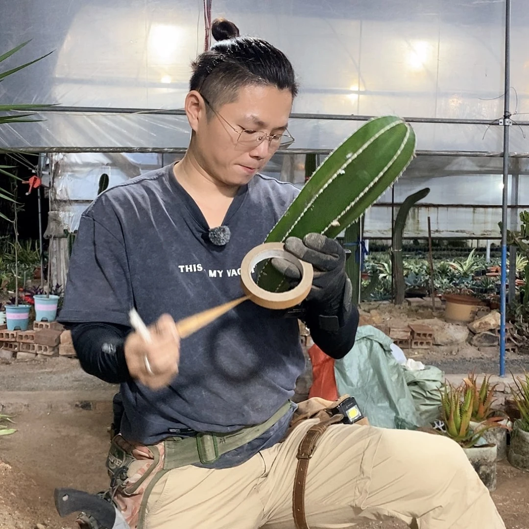 平***生61现砍白云阁一物一拍
