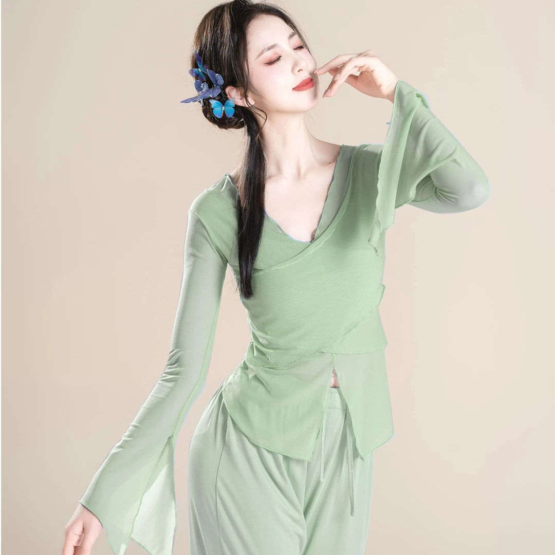 2025新款现代舞练功服古典舞身韵纱衣舞蹈服中国舞表演服