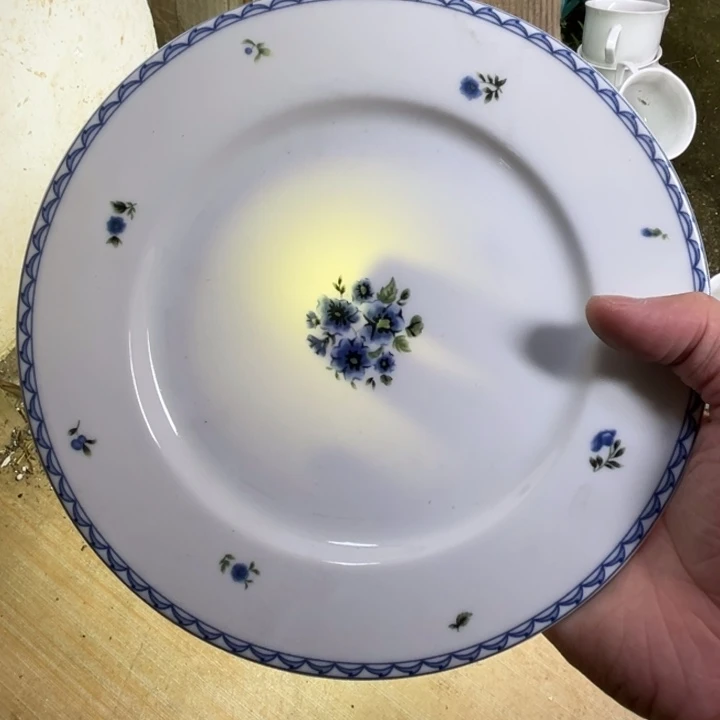 瓷片陶瓷陶瓷8英寸平盘红叶特殊款