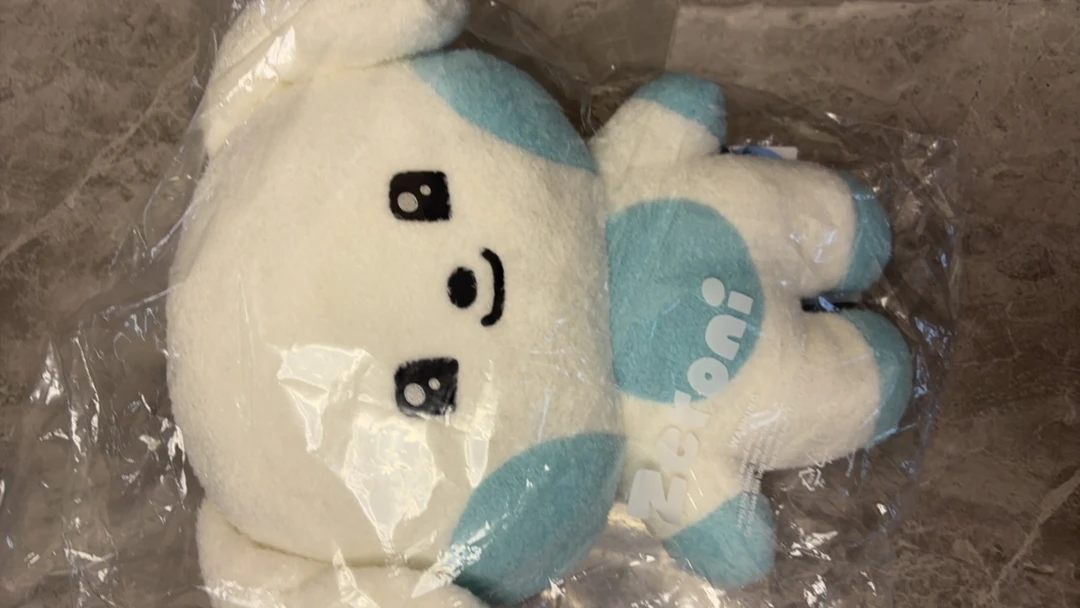 zb1 zerobaseone zeroni 平面抱枕玩偶金奎彬大娃