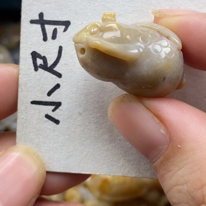 硅化珊瑚（珊瑚玉）未镶嵌颈饰