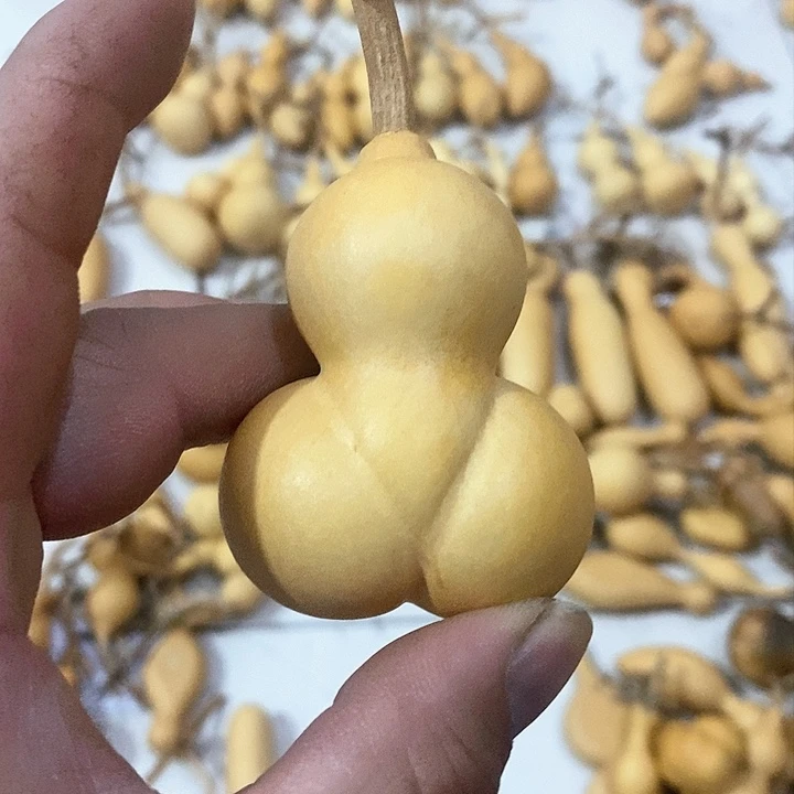 葫芦岛市人民政府副