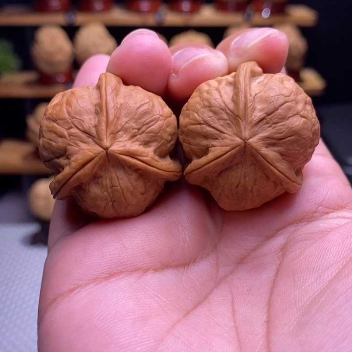 木质类云铁甲壳虫三棱15号