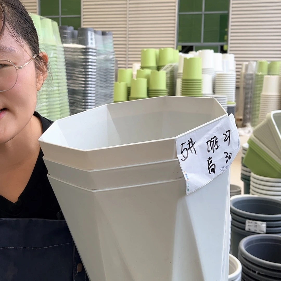 钻石盆5#白色3个无托