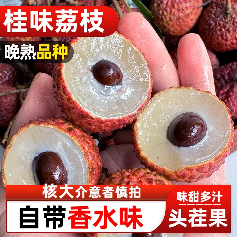 【顺丰/京东冷链速运】正宗桂味荔枝当季新鲜现摘老树净重4斤