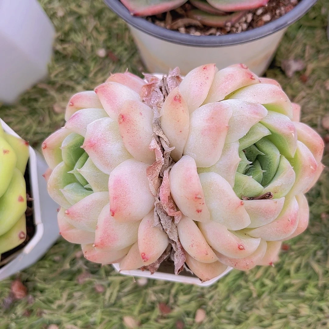 27号98888888888888888