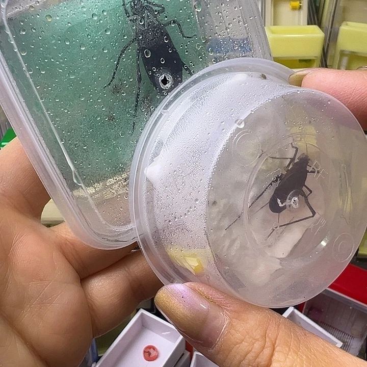 树***森哈哈哈哈哈哈哈哈哈哈哈哈