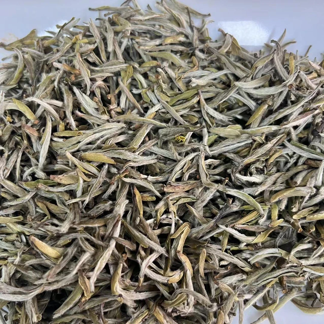 精选新品336号茉莉花茶HH