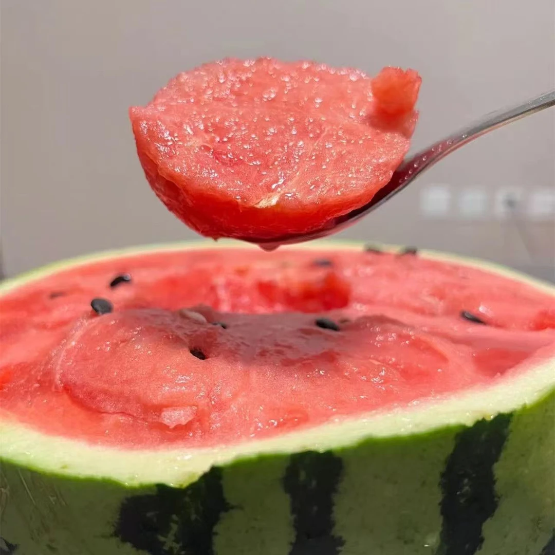 【麒麟瓜】新鲜应季美都麒麟西瓜8424冰糖无籽有籽西瓜麒麟瓜