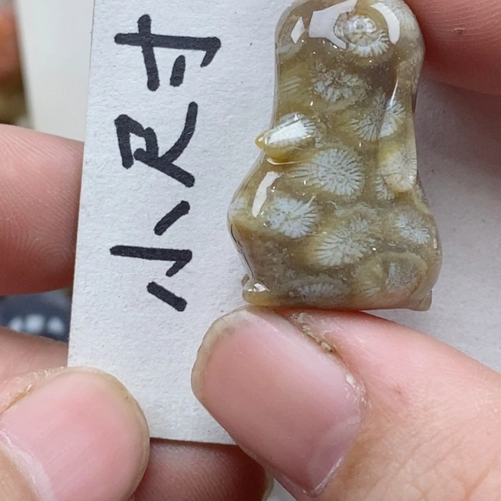 颈饰未镶嵌硅化珊瑚（珊瑚玉）