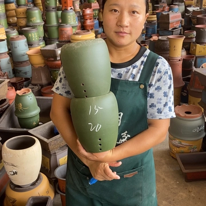 紫砂花盆盆栽花卉苗木