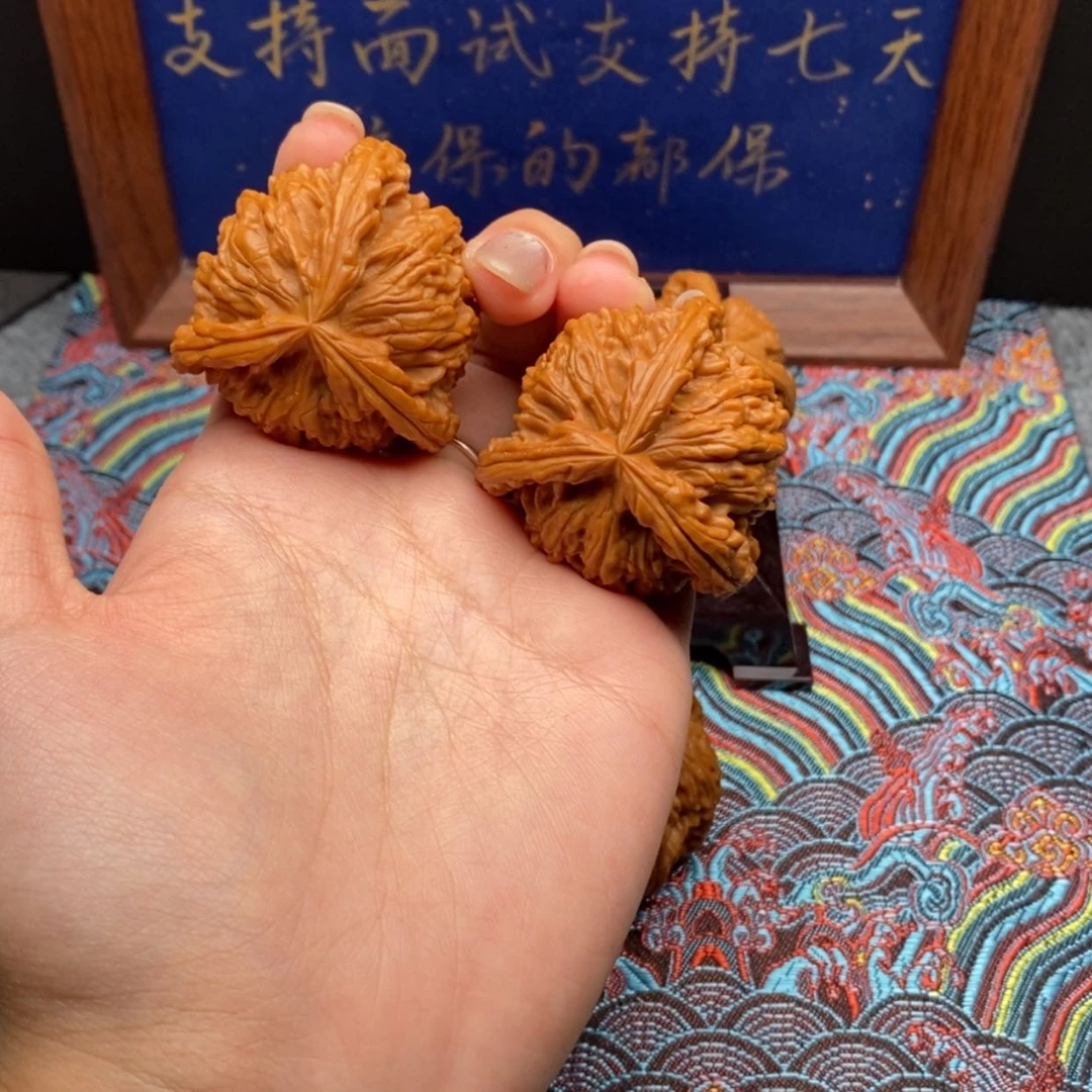 【闪购商品】羅白狮
