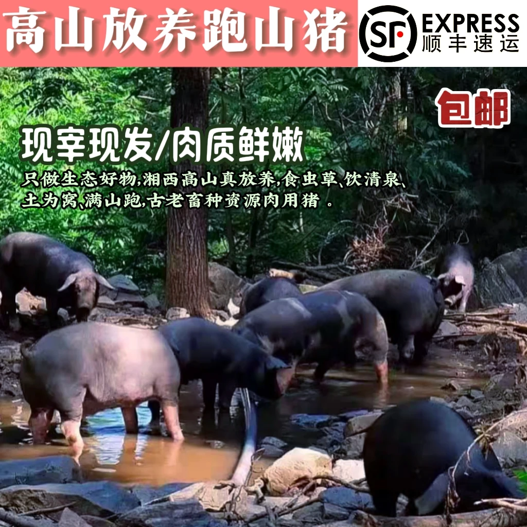【肥肉5斤装 】熟食土猪黑猪肉顺丰冷链包邮