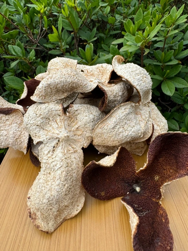 【梅子香，糯甜回甘】2022梅江原枝冬后大红皮 陈皮自然生晒干仓存