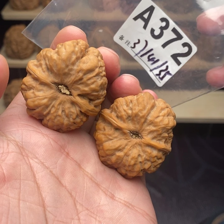 宏***饰核桃A372蛤蟆88888