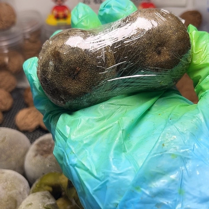 ****…磨盘红皮小众核桃核桃