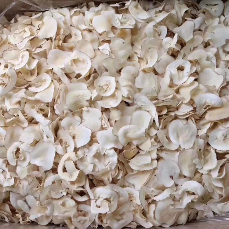 海底椰可煲汤喝水