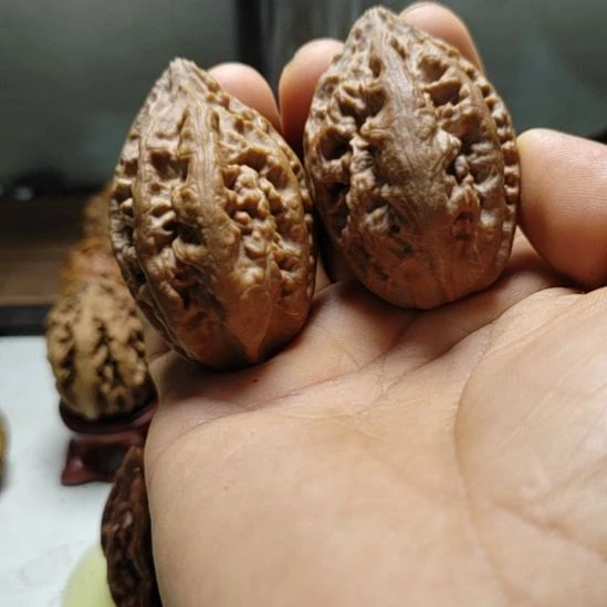 文玩核桃把件东北野生文玩核桃粗筋