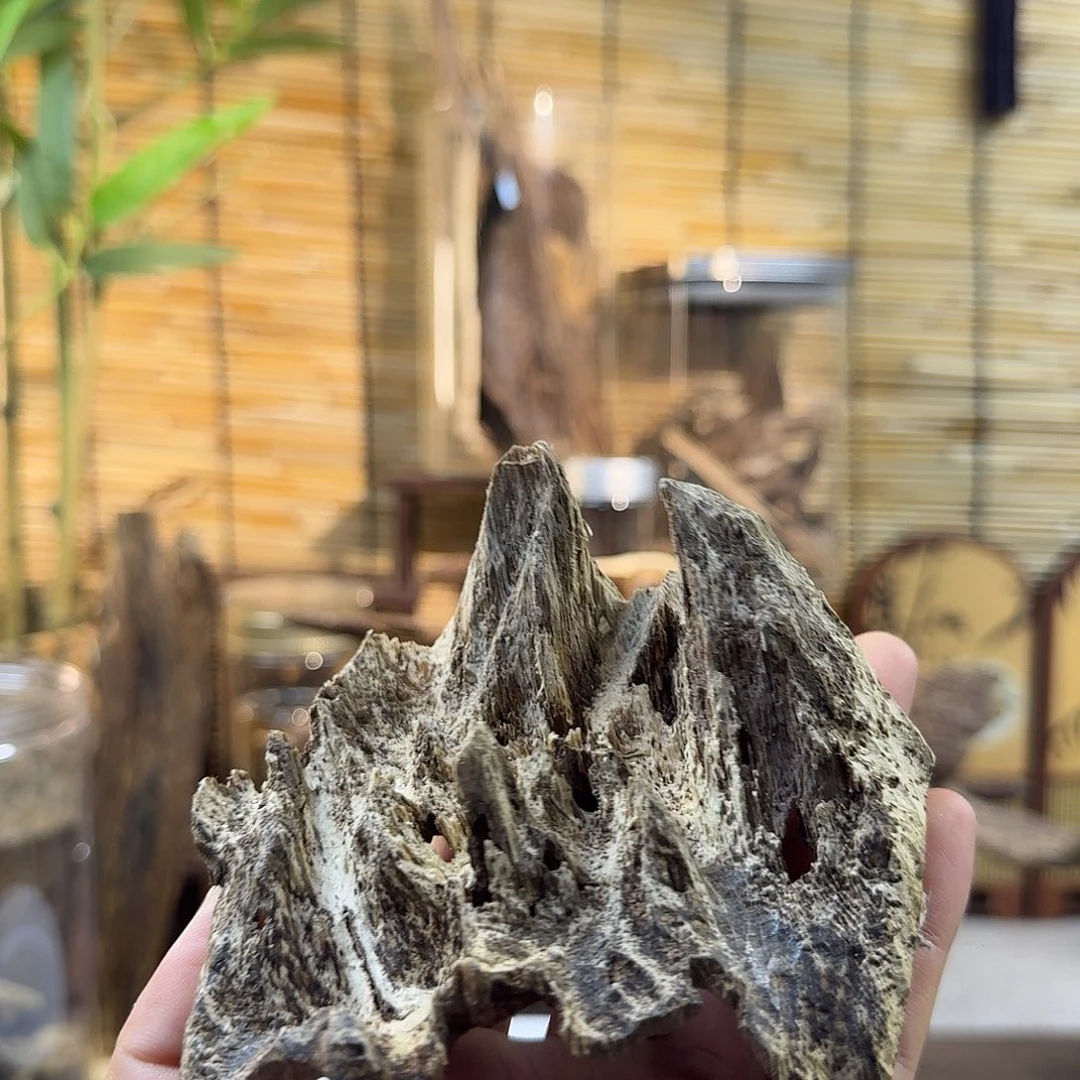 沉香沉香碎屑沉香吊齿20g