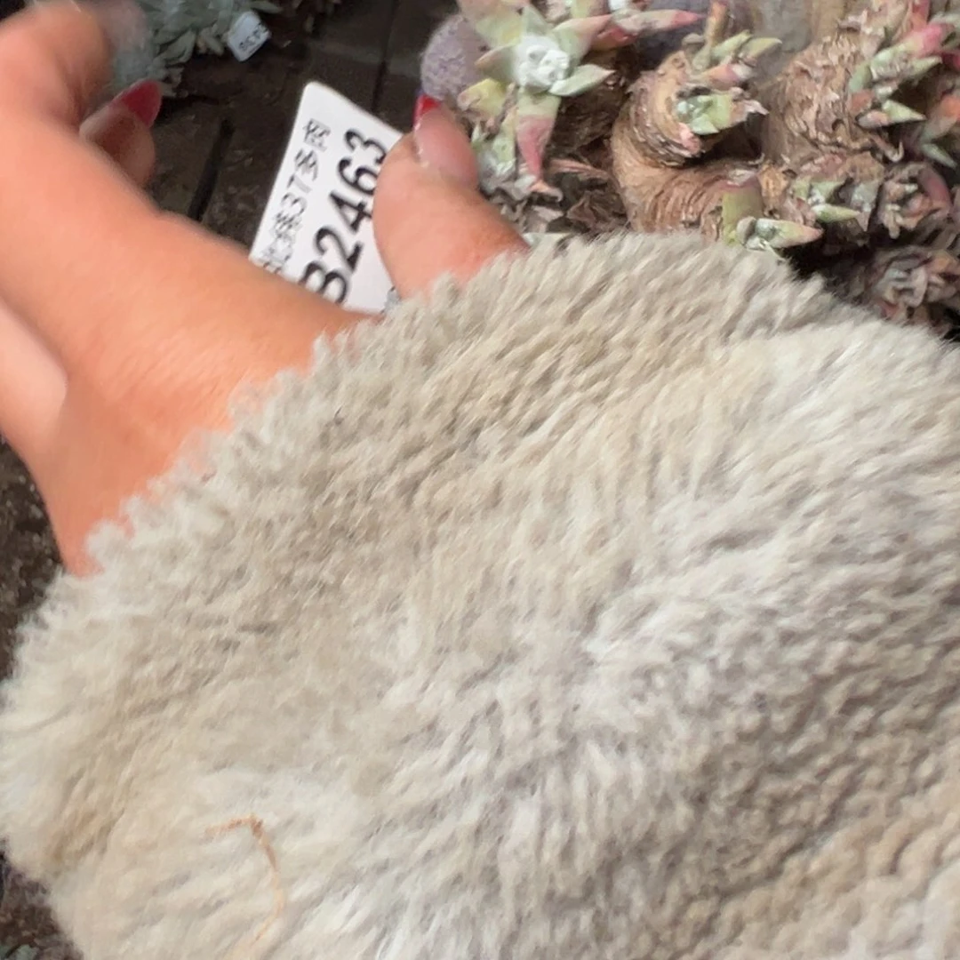 简*静2463哈哈哈哈哈哈哈