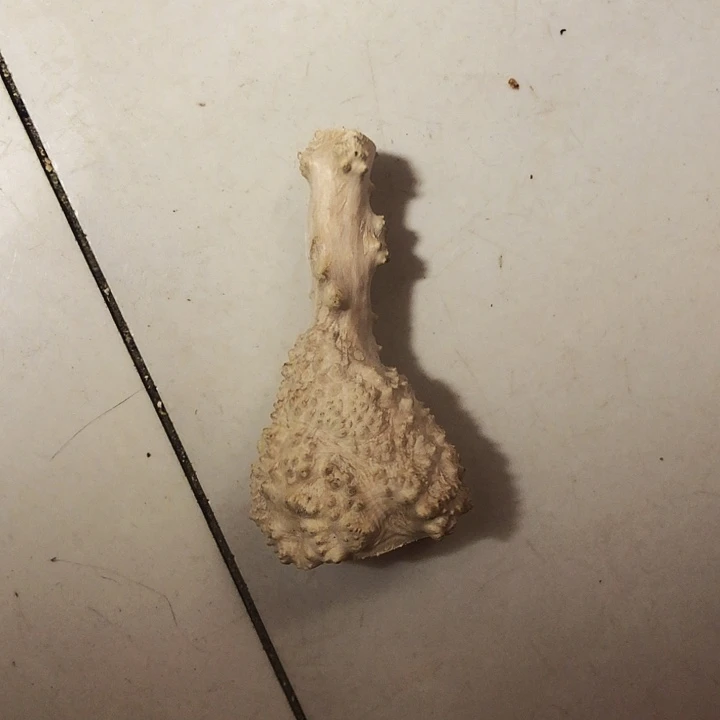 六***哥木木料木料木料木料