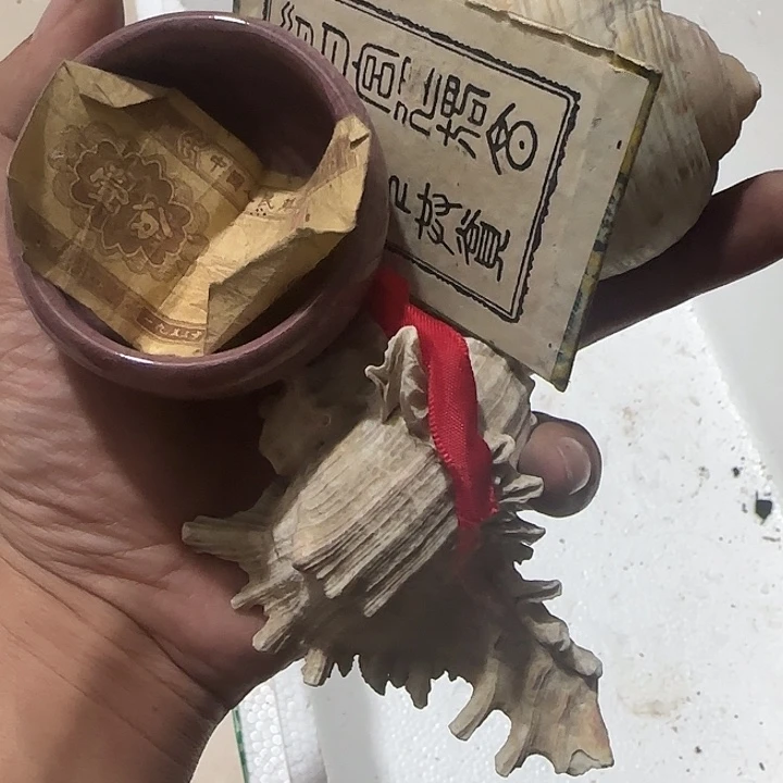 橄榄核其他孑*Vhvhvhvbvvvvv