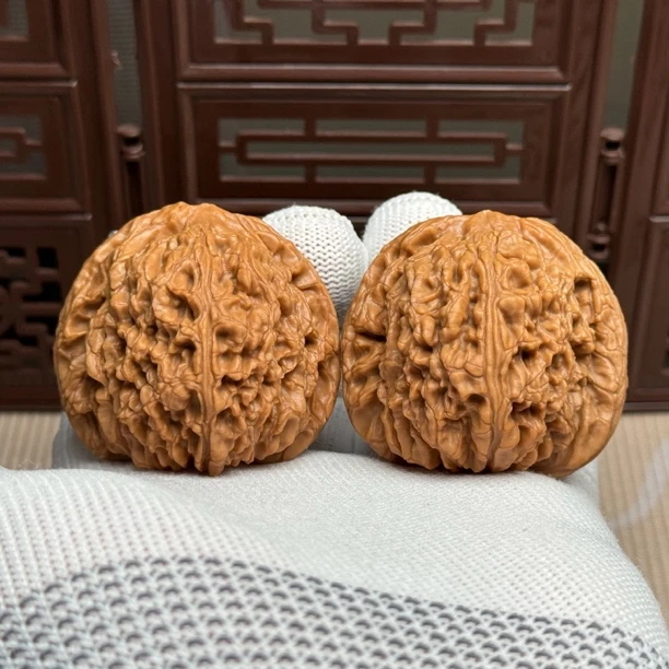 精选南疆石狮子头，边46肚45高42，一代老树粗楞南疆，一物一图全品