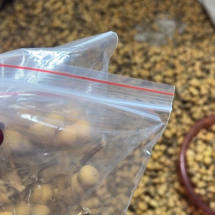 生打皮质量很好啊哈哈