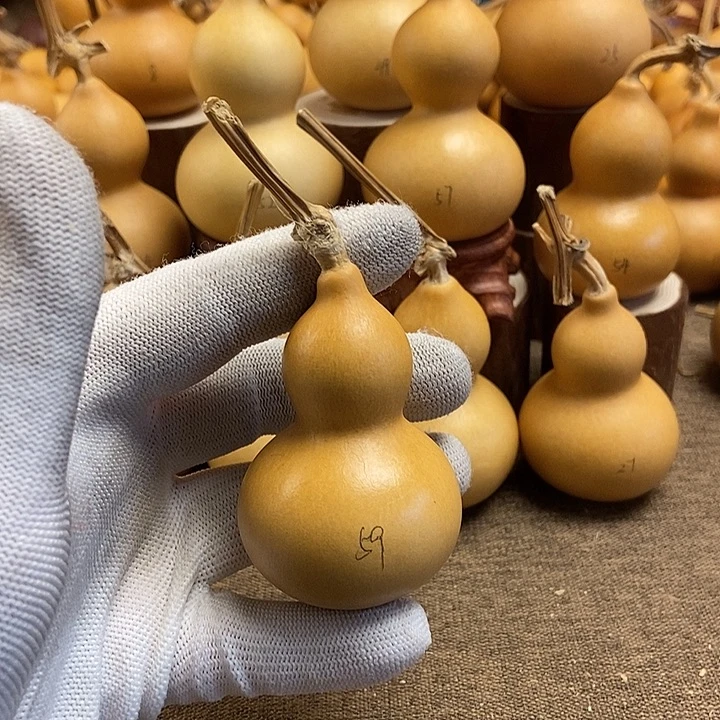 文玩葫芦 完美主义者 慎拍59