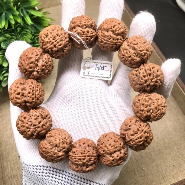 尼泊尔大金刚铁骨蜂窝双龙A/25