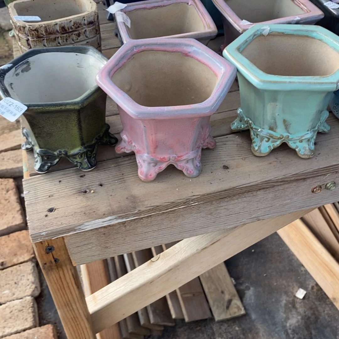 小***南153号多肉盆三个组合