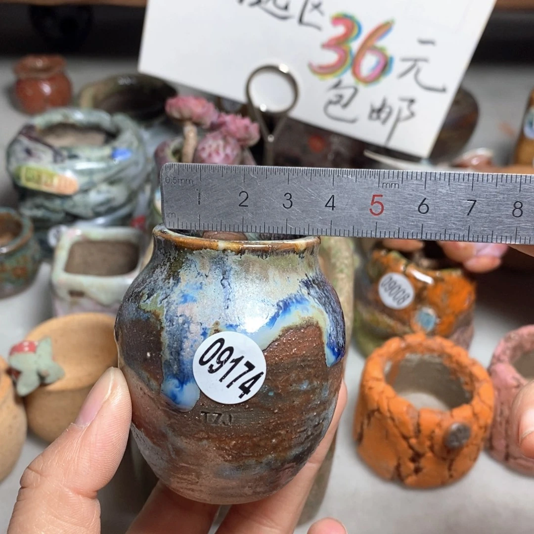 花盆拍5送一个小礼物
