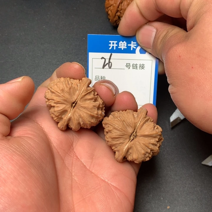 文玩核桃把件36白狮子26