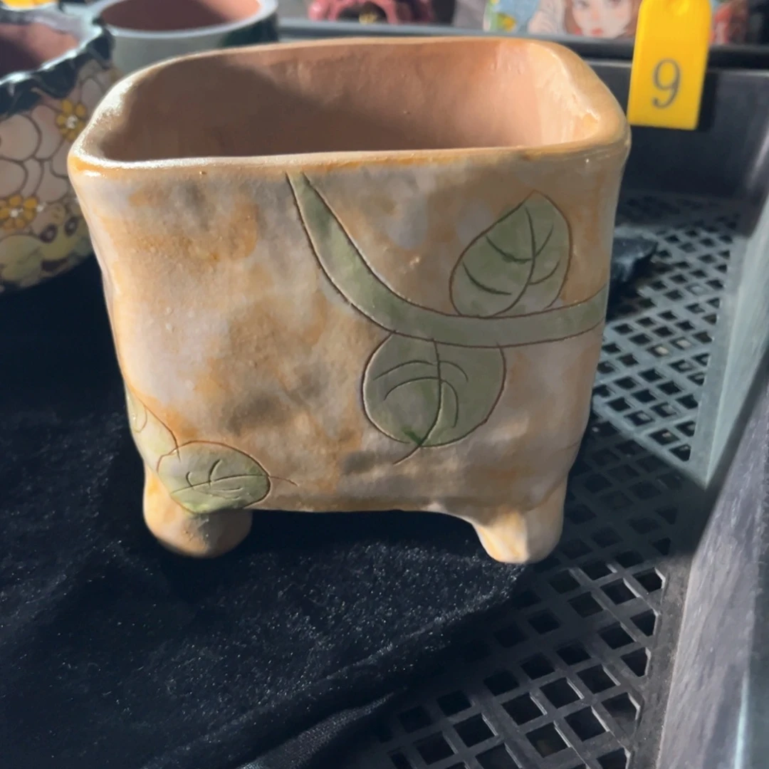 波*?614多肉花盆1个